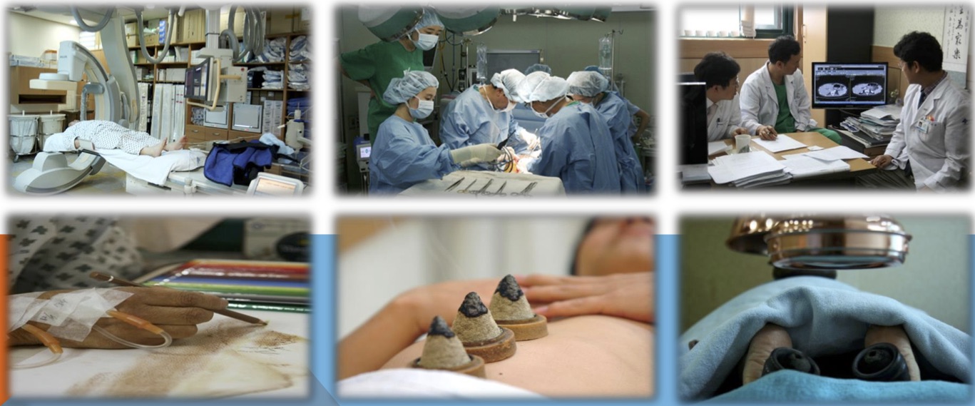 Cancer treatment in South Korea (G SAM Integrative Cancer Center)