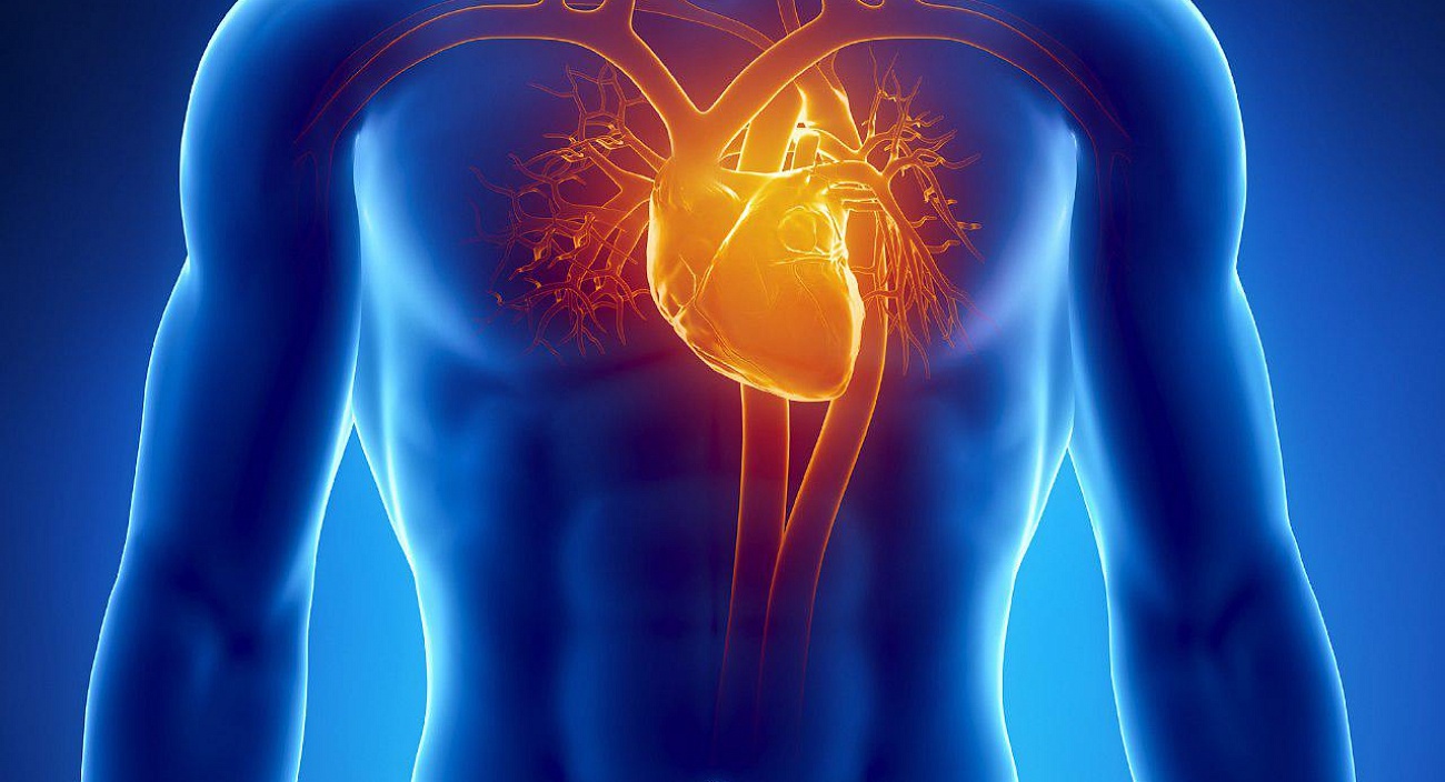 Cardiology and cardiac surgery