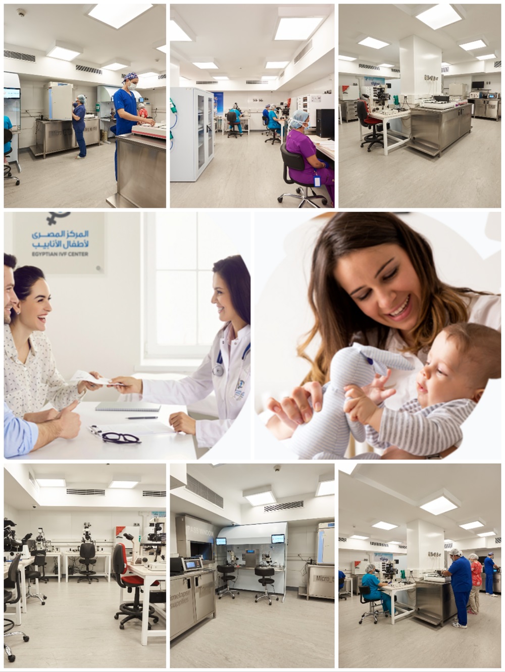 The Egyptian IVF Center, Cairo, Egypt