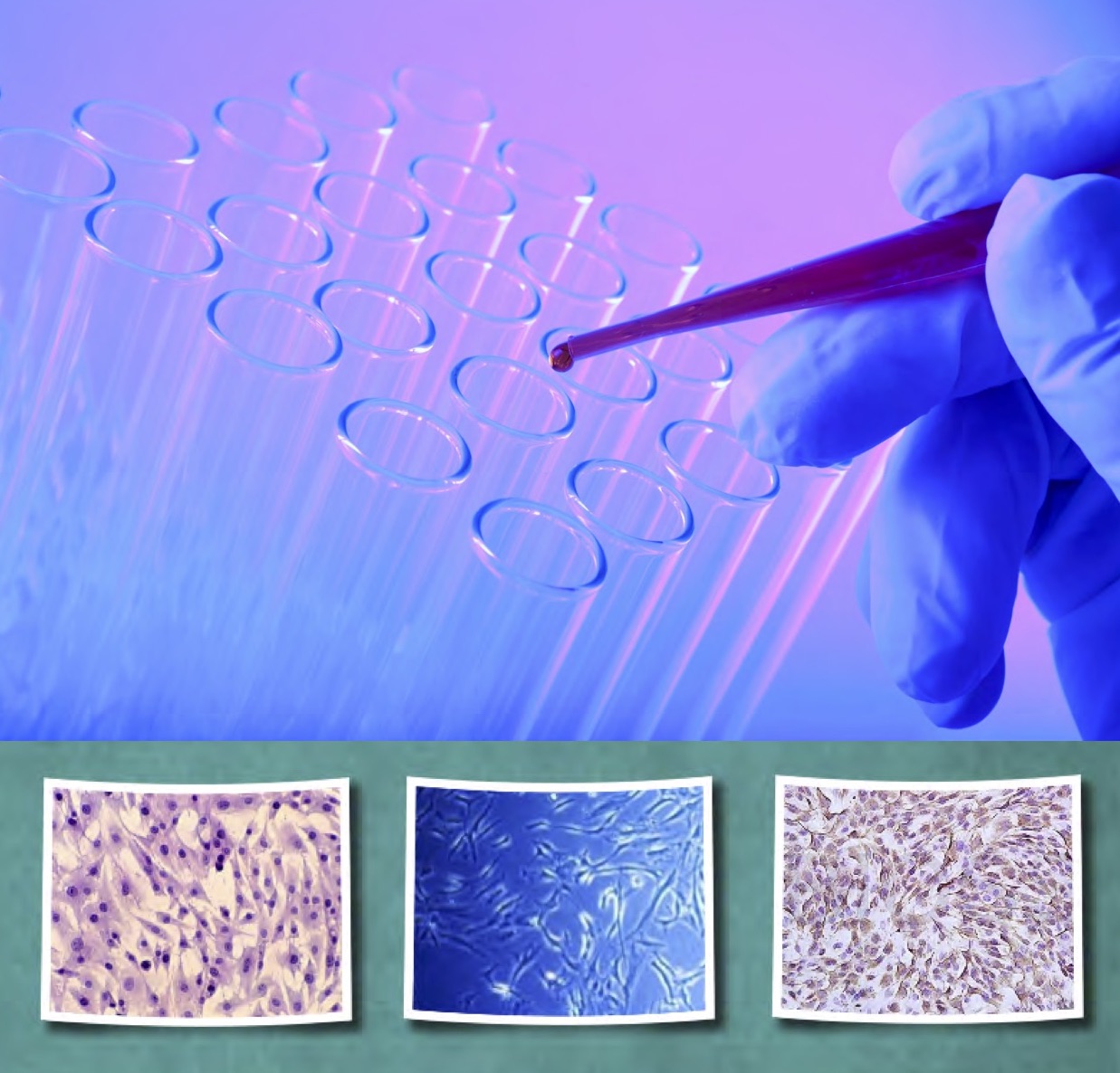 Stem cells therapy clinic in Moscow, Russia