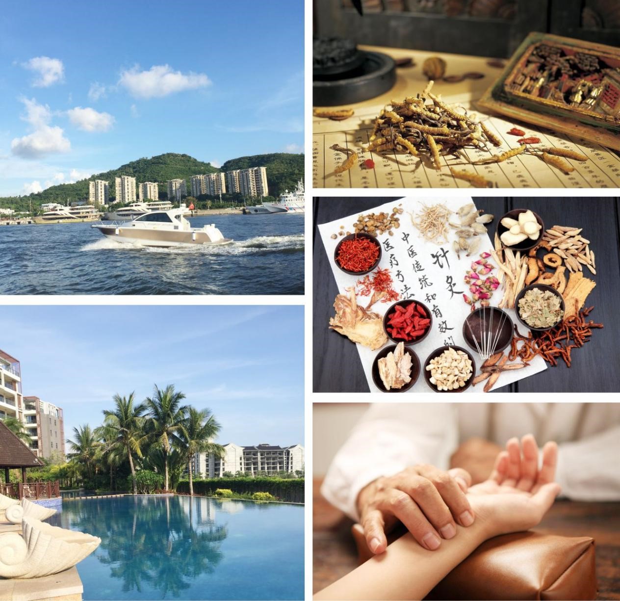 Tradicional chinese medicine
